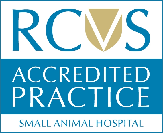 Find help and advice from RCVS