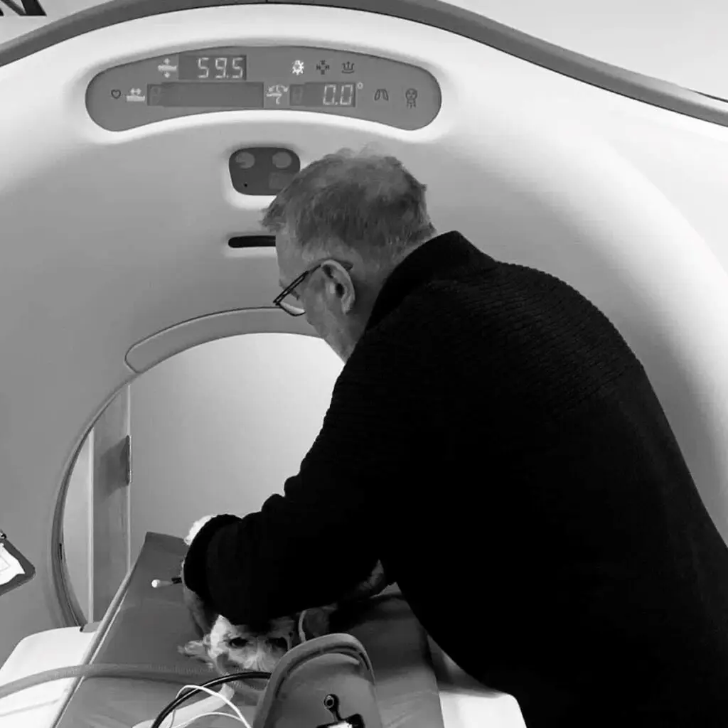 A man in a jumper adjusts equipment on a patient inside an MRI machine, with various controls visible above. This scene highlights the precision of veterinary referral services and the expertise of vet professionals.