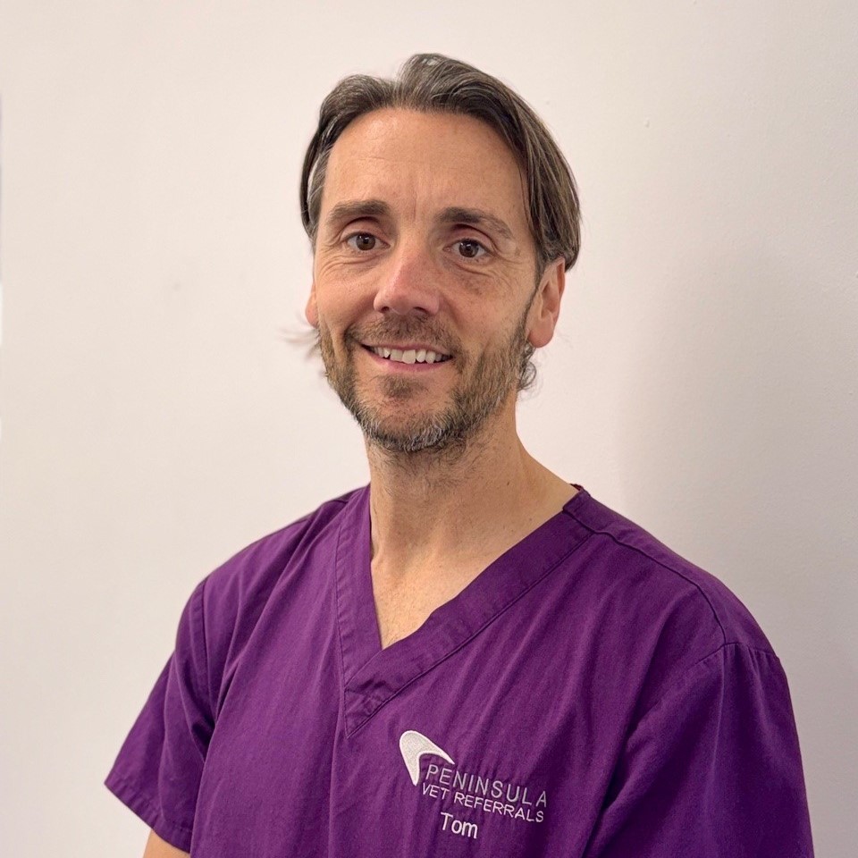 Tom Gilding, a veterinary surgeon holding a CertSAS, stands before a simple white backdrop. He wears a purple Peninsula Vet Referrals scrub top and smiles directly at the camera.